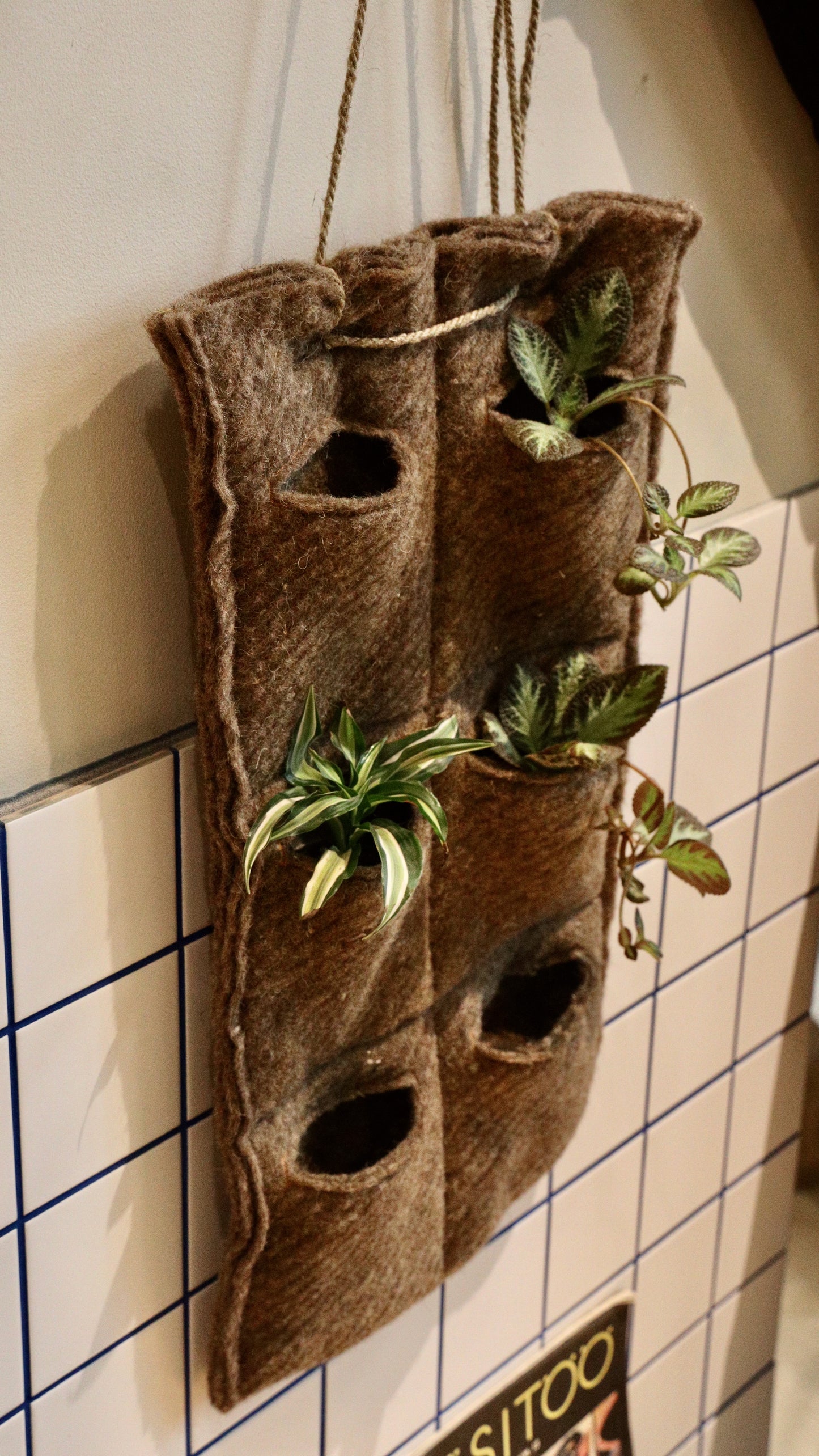 Miniträdgård av lammull – 6 fickor