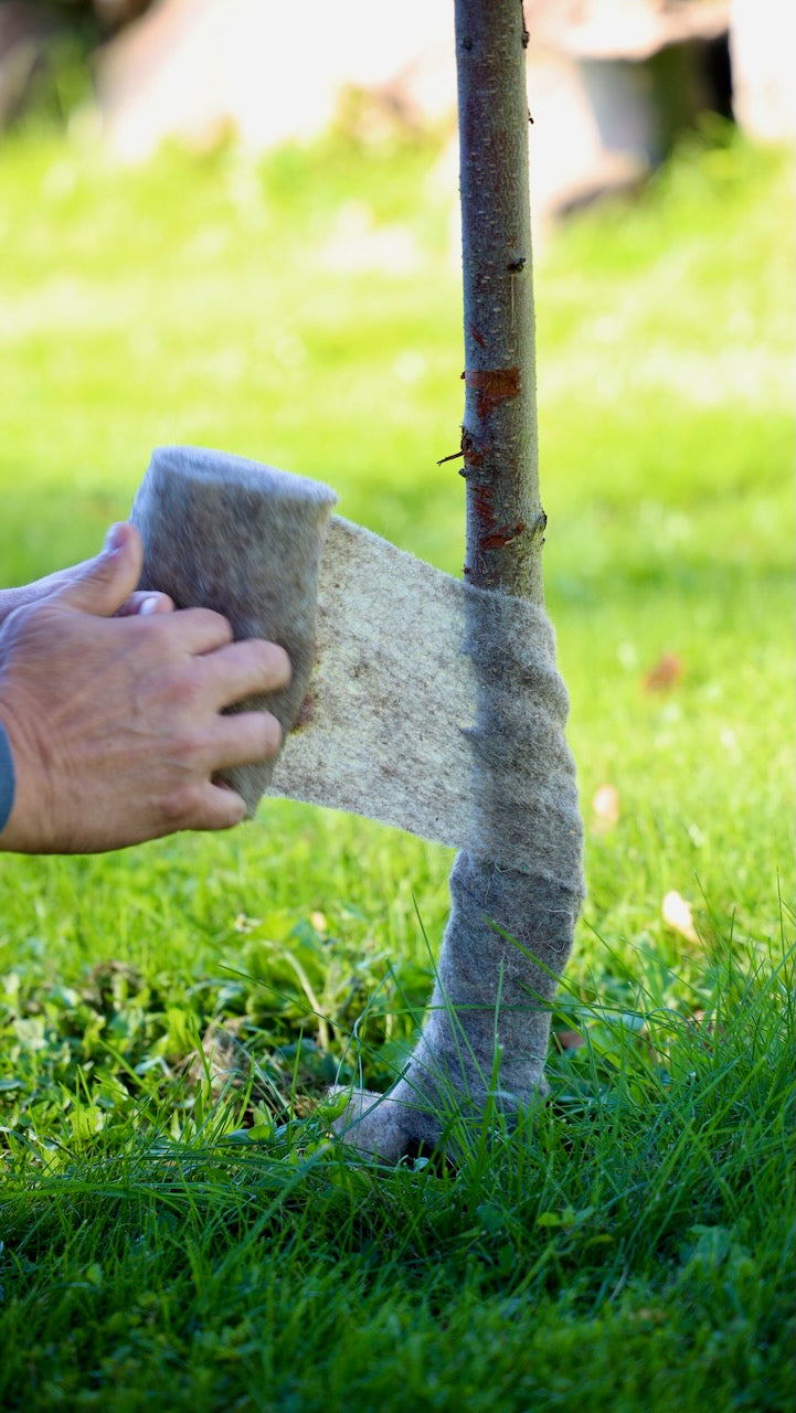 Tree trunk protection fabric