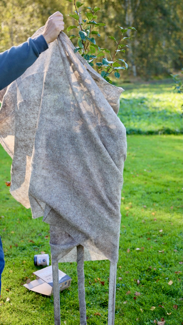 Winter blanket for plants