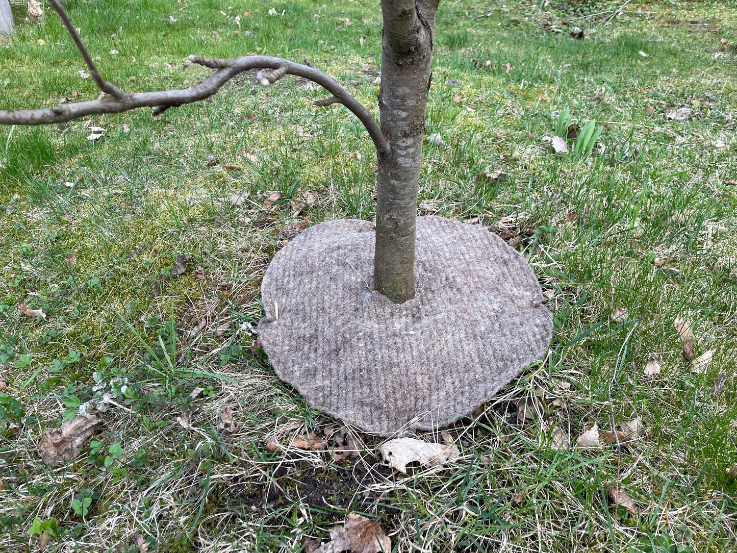 Sheep's wool mulch discs